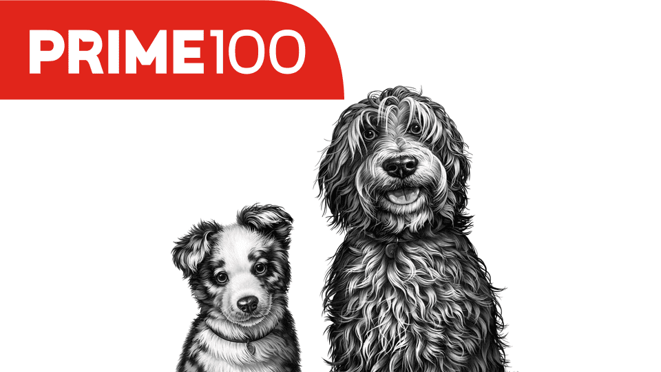 Prime 100 logo